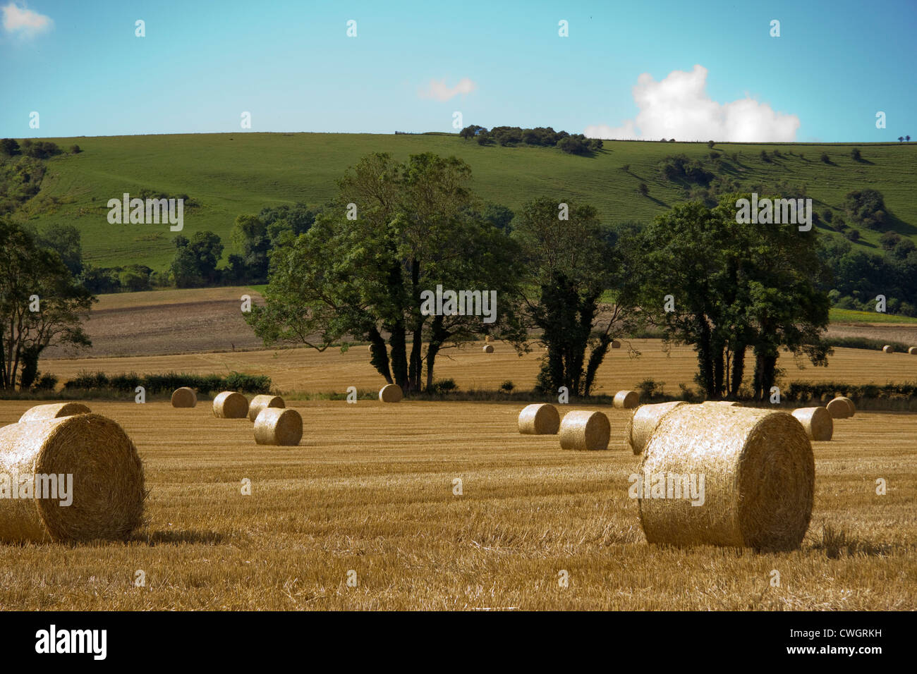Harvest time, Kent, England UK Stock Photo Alamy