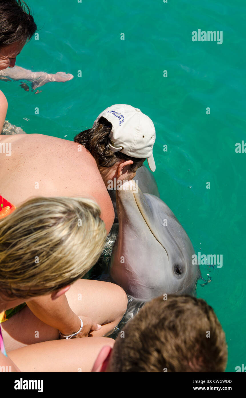 Dolphin park encounter in Buena Vista UNESCO Biosphere Reserve, Buena Vista Bay, Cayo Santa Maria, Cuba. Stock Photo