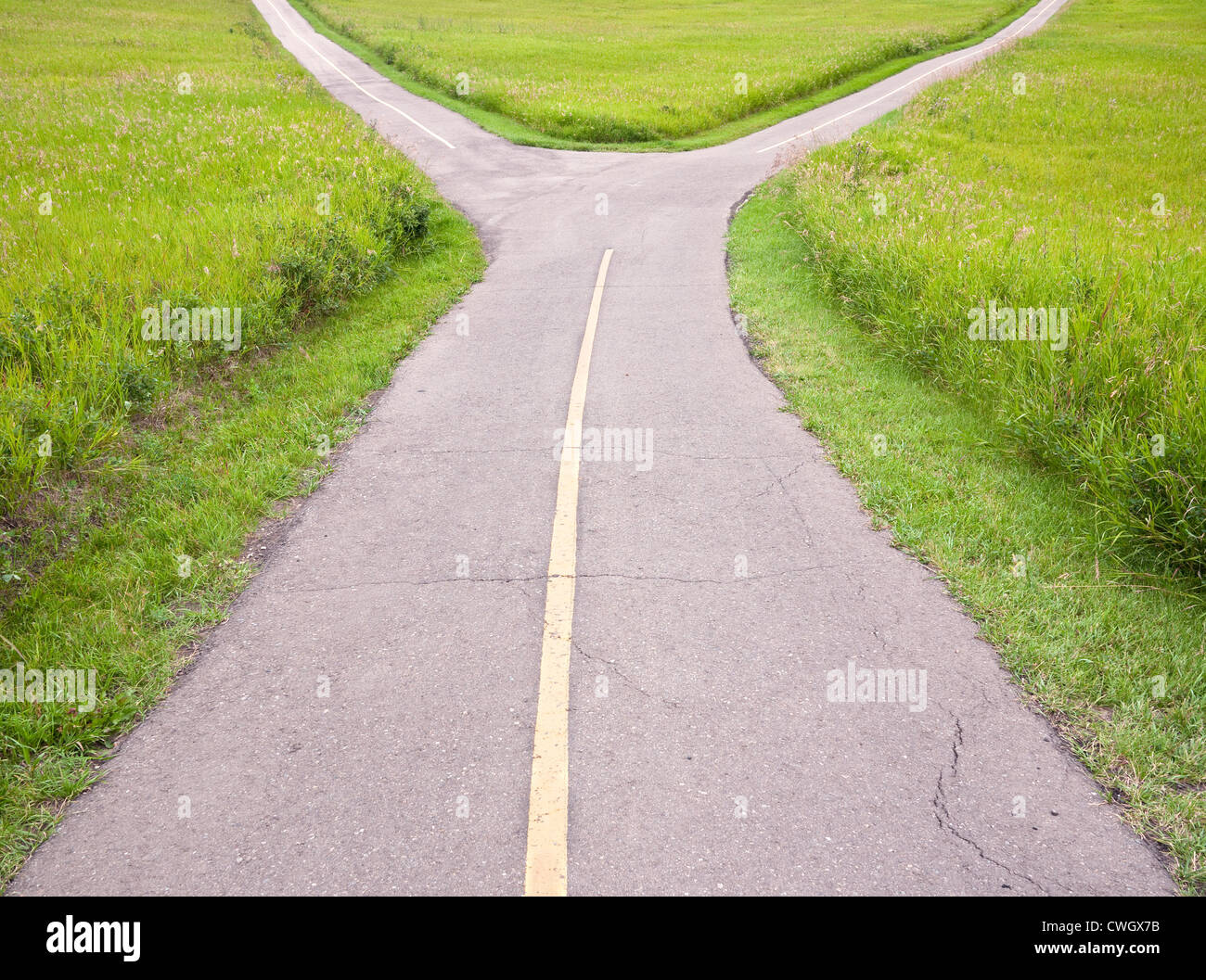 Fork in the road Stock Photo