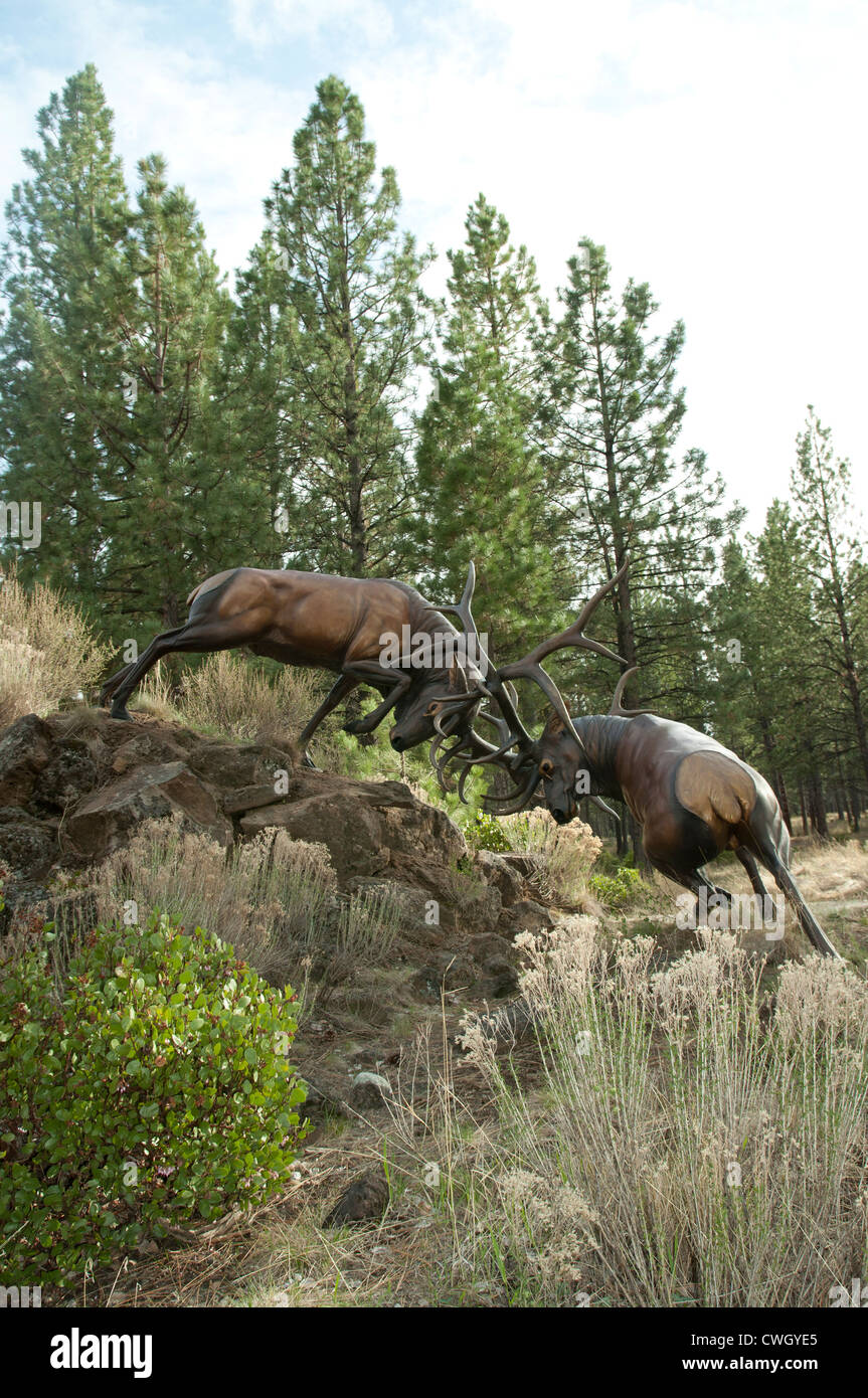 Sculture of two battling Elk at the High Desert Museum near Bend,Oregon. Stock Photo