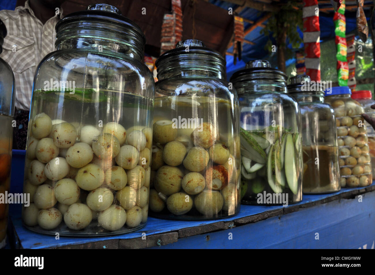 Pickles kept in jar for Sale, Kerala, India Stock Photo Alamy