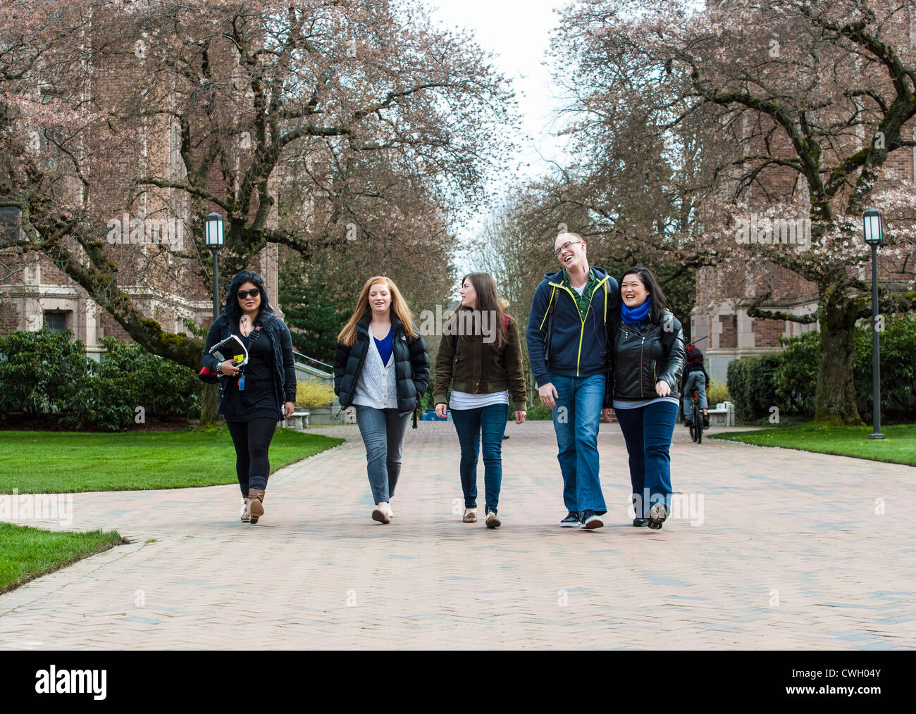 Students walking on campus together Stock Photo - Alamy