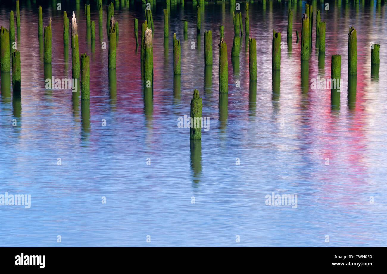 Beautiful sunrise light on hundred-year-old pilings at high tide on the Columbia River, Astoria, Oregon, USA Stock Photo