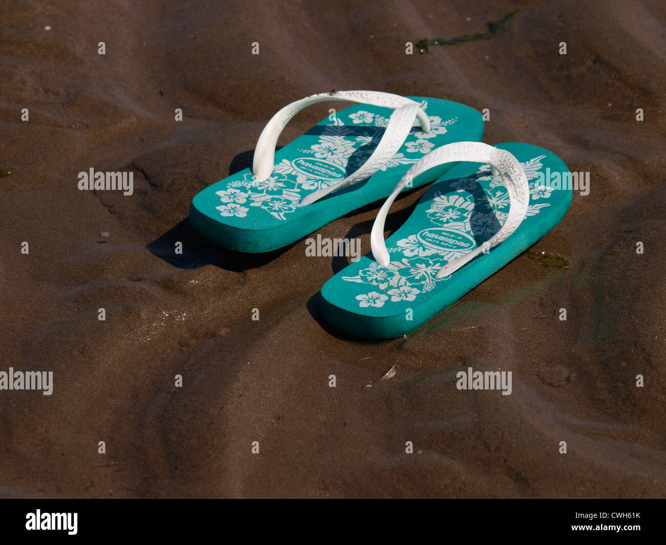 Flip flops on the wet sand Stock Photo