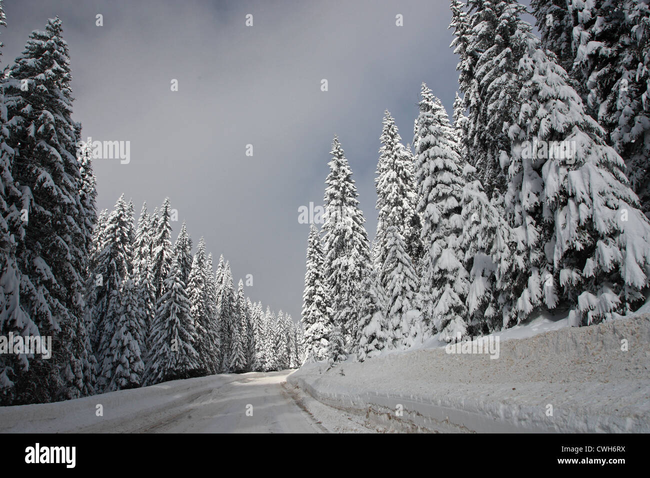 Winter scenery with road in snow. Rodopi Mountains, Bulgaria Stock Photo