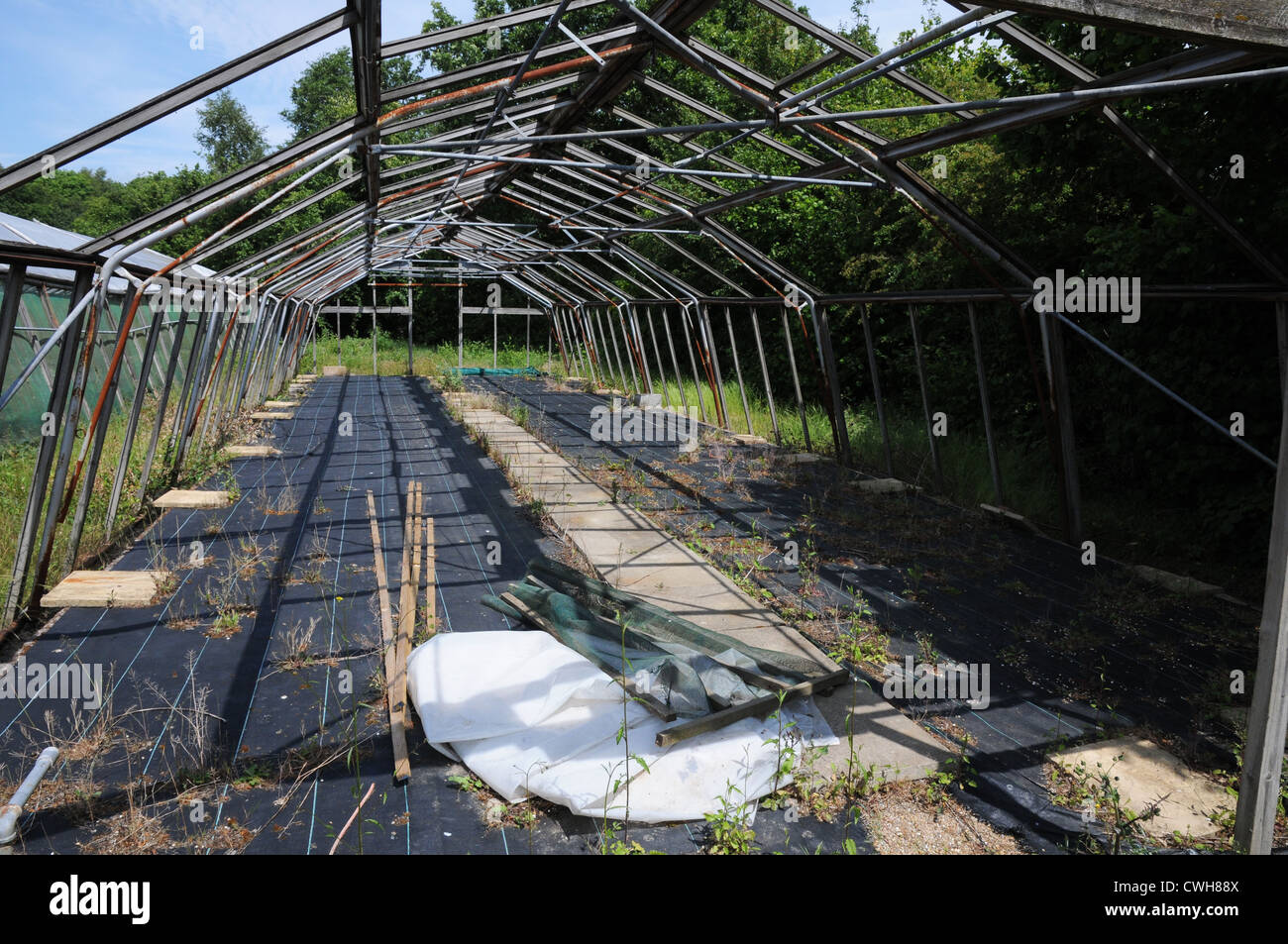 Broken down, wrecked, empty, steel glasshouse, greenhouse, garden centre, Sussex Stock Photo Alamy