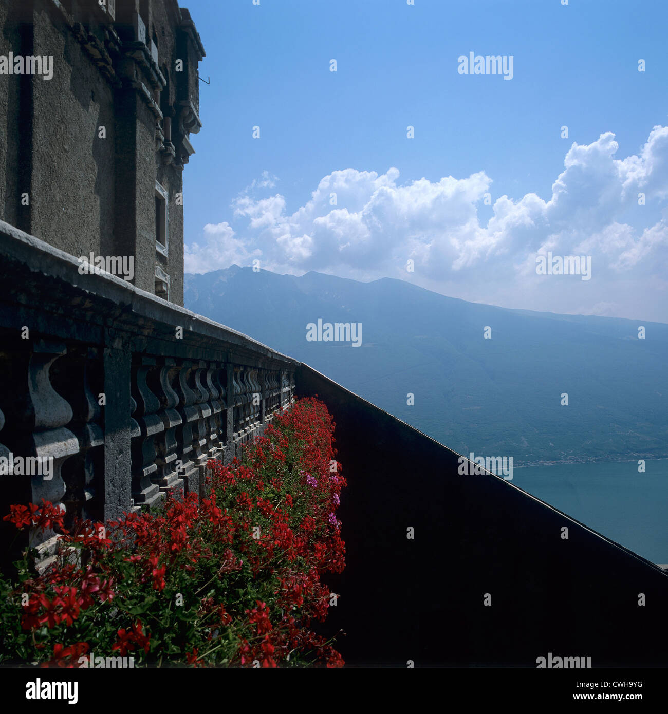 My Image 25