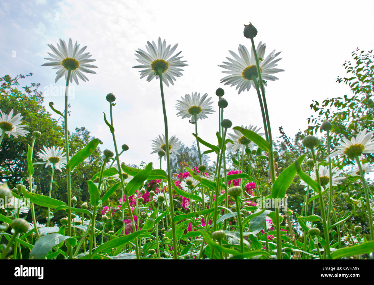 Reach for the sky hi-res stock photography and images - Alamy