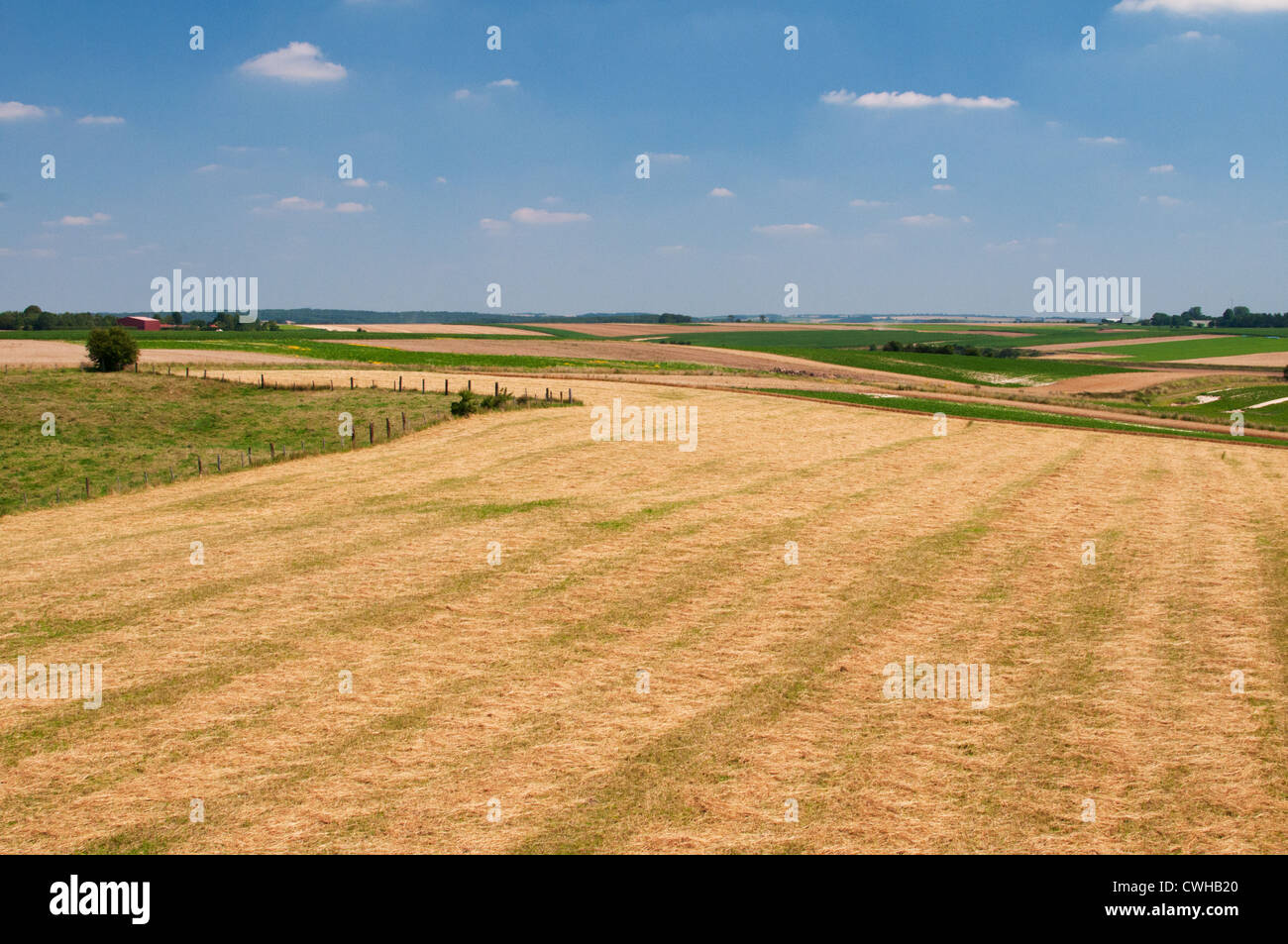 The 1346 battle field at Crécy-en-Ponthieu in the Hundred Years War, Somme, Picardie, France. Stock Photo