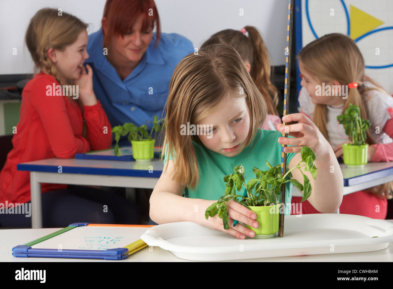 Изучение биологии в школе. Биология для детей. Школьники биология. Дети изучают биологию. Ученики с растениями.