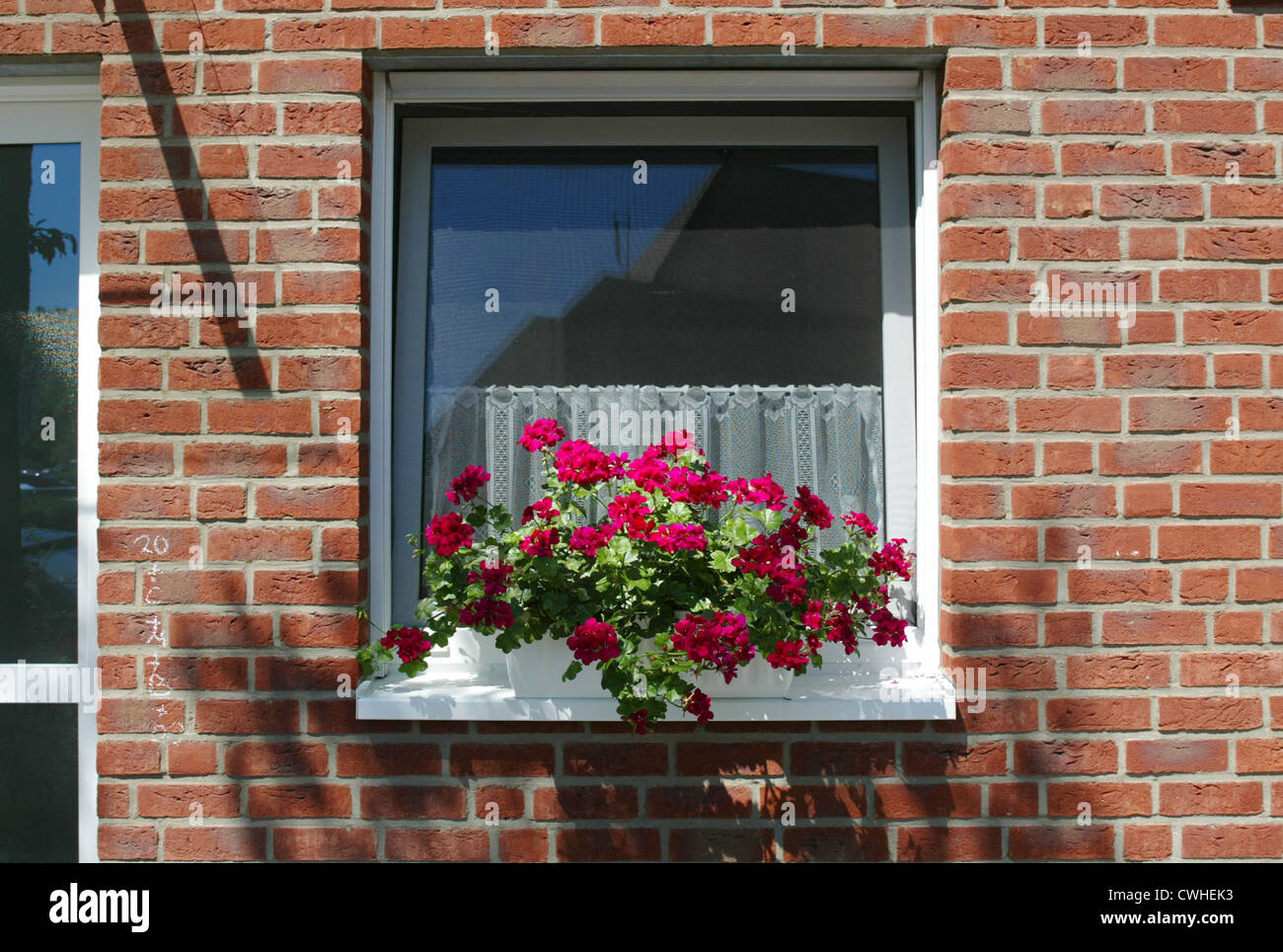 Duisburg, flower boxes with geraniums Stock Photo Alamy