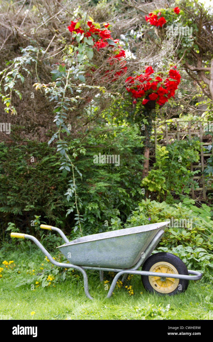 An empty metal wheelbarrow with a yellow wheel rests under red flowers beside a green garden hedge Stock Photo