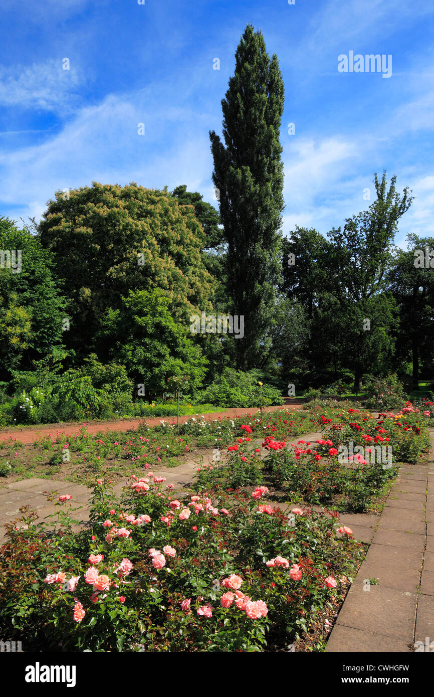 Rosenbeete und Gehoelze im Botanischen Garten in Krefeld-Oppum, Niederrhein, Nordrhein-Westfalen Stock Photo