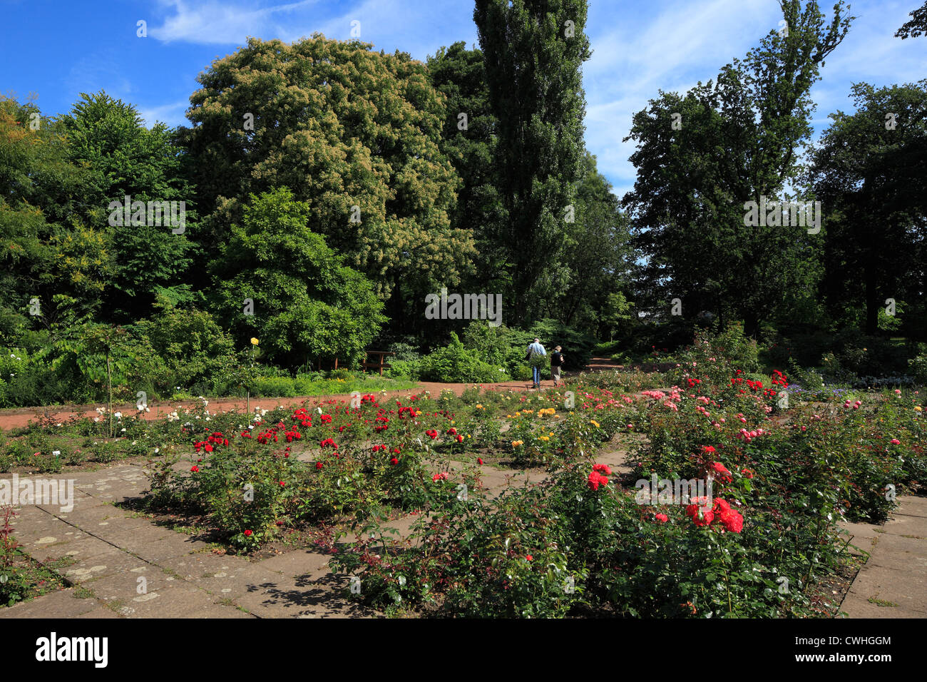 Rosenbeete Und Gehoelze Im Botanischen Garten In Krefeld Oppum
