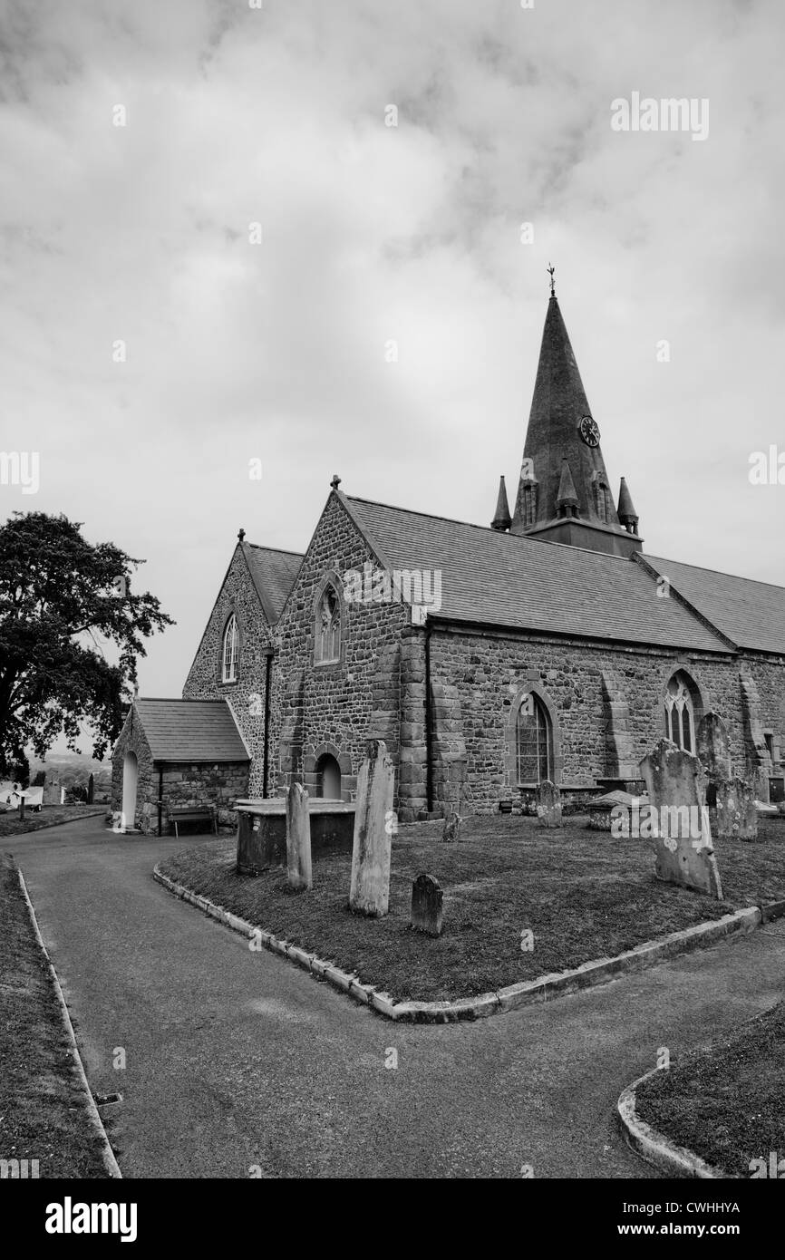 Guernsey Black And White Stock Photos Images Alamy