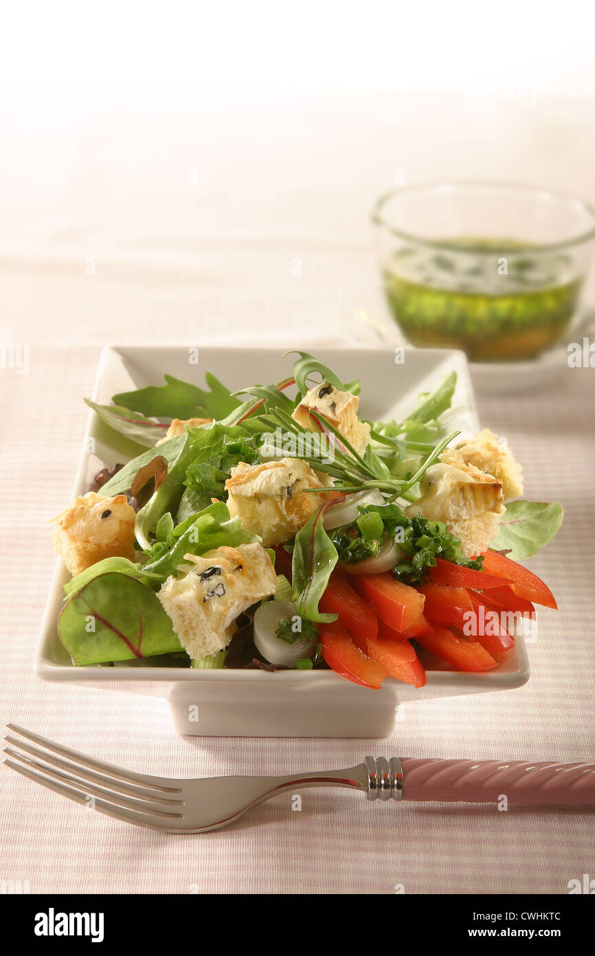 Vegetable Salad with Cheese Crutons and Herb Dressing Stock Photo