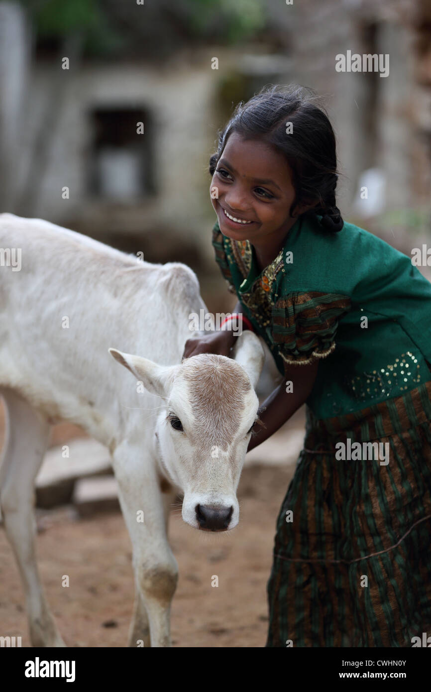 Young Indian girl with her small bullock  Andhra Pradesh South India Stock Photo