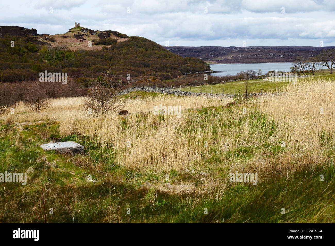 Reed Bed sewage treatment plant at Tongue. Scotland Stock Photo Alamy