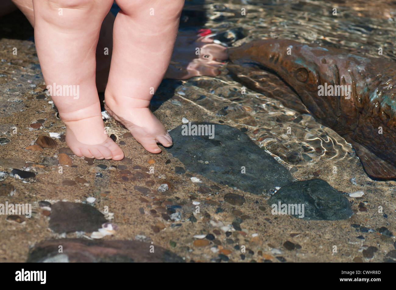 An infant's toes are dipped into the sculpture dotted community wading stream at the East Bay Public Plaza on a warm summer day. Stock Photo