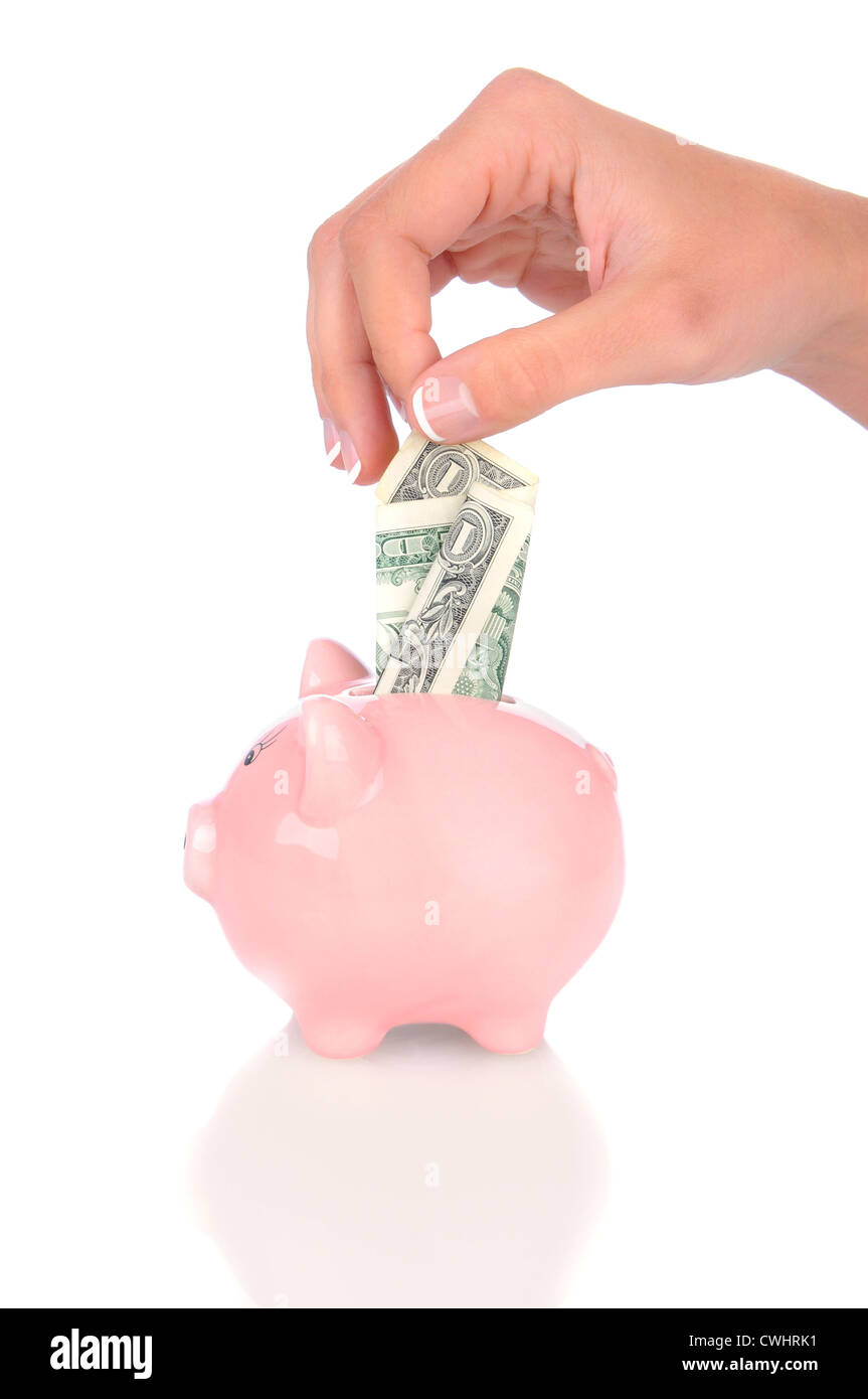 Closeup of a woman's hand placing a dollar bill into a pink piggy bank. Vertical format over white with reflection. Stock Photo