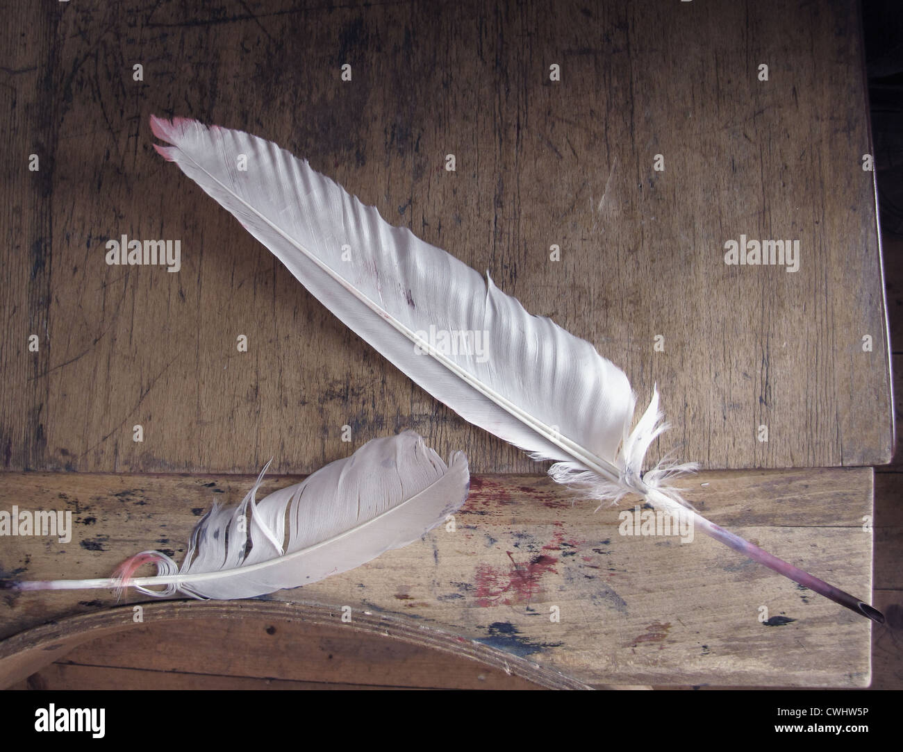 Quill Pens High Resolution Stock Photography and Images Alamy