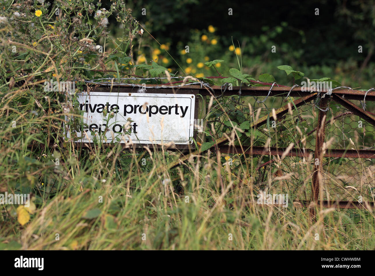 A 'keep out' sign fixed to a metal gate in overgrown vegetation Stock Photo