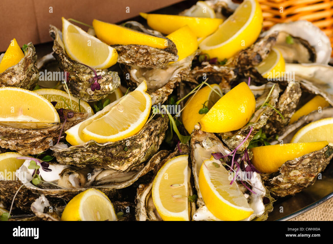 Oysters and lemon segments Stock Photo