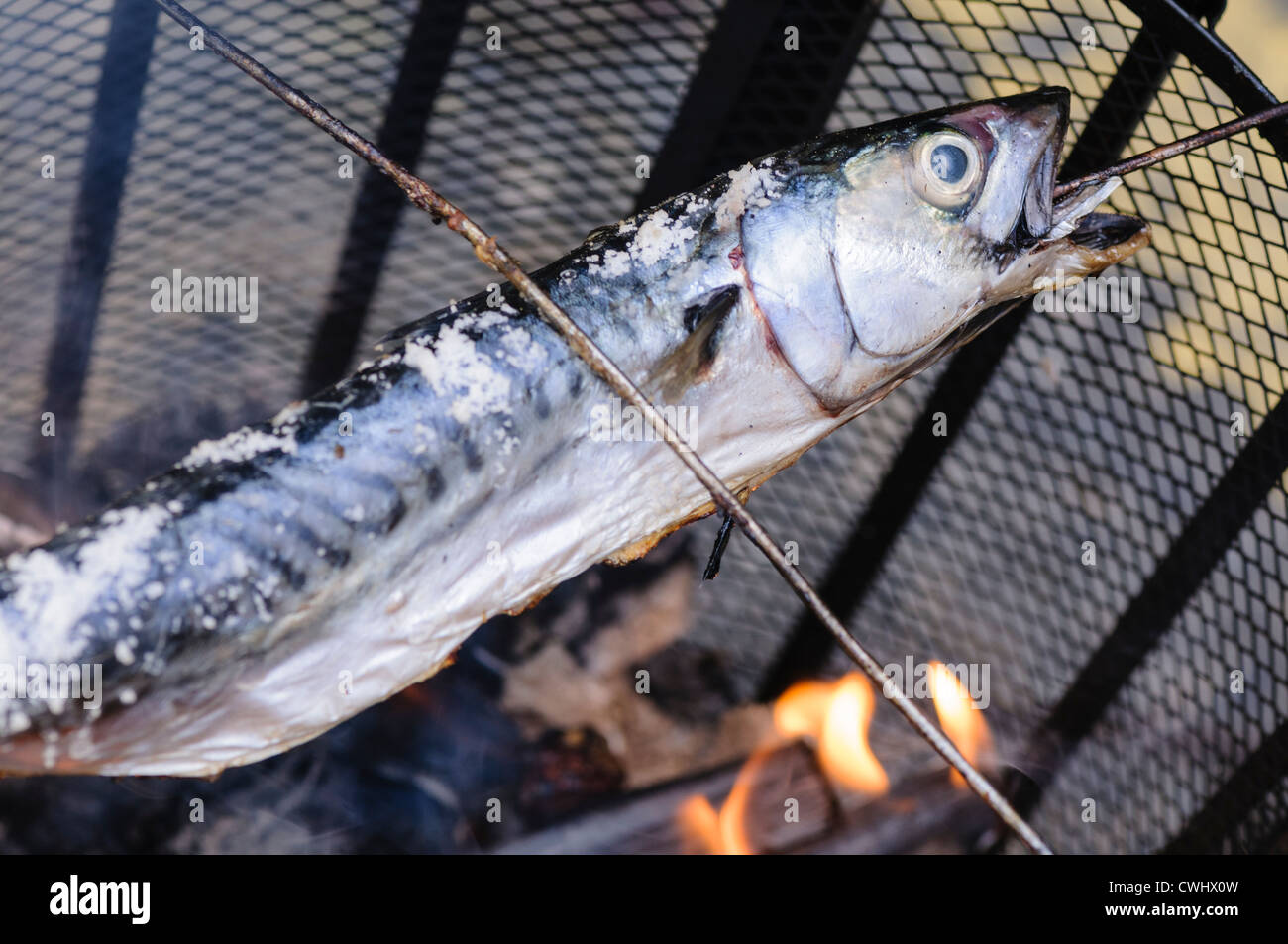 Salted mackerel being smoked over a wood fire Stock Photo Alamy