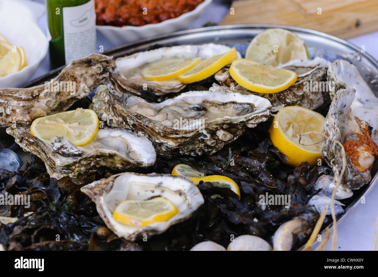 Oysters and lemon slices on a bed of seaweed Stock Photo
