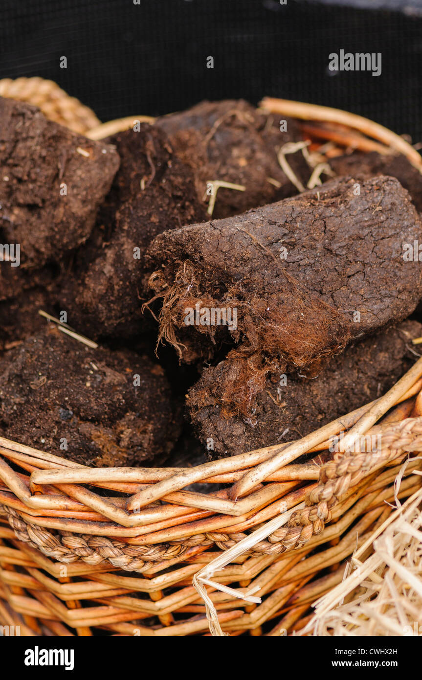 Irish turf for burning as fuel in a wicker basket Stock Photo