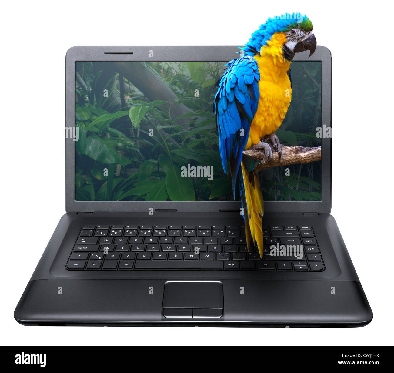 3D Notebook With Ara Parrot on the Screen - isolated on White Stock Photo
