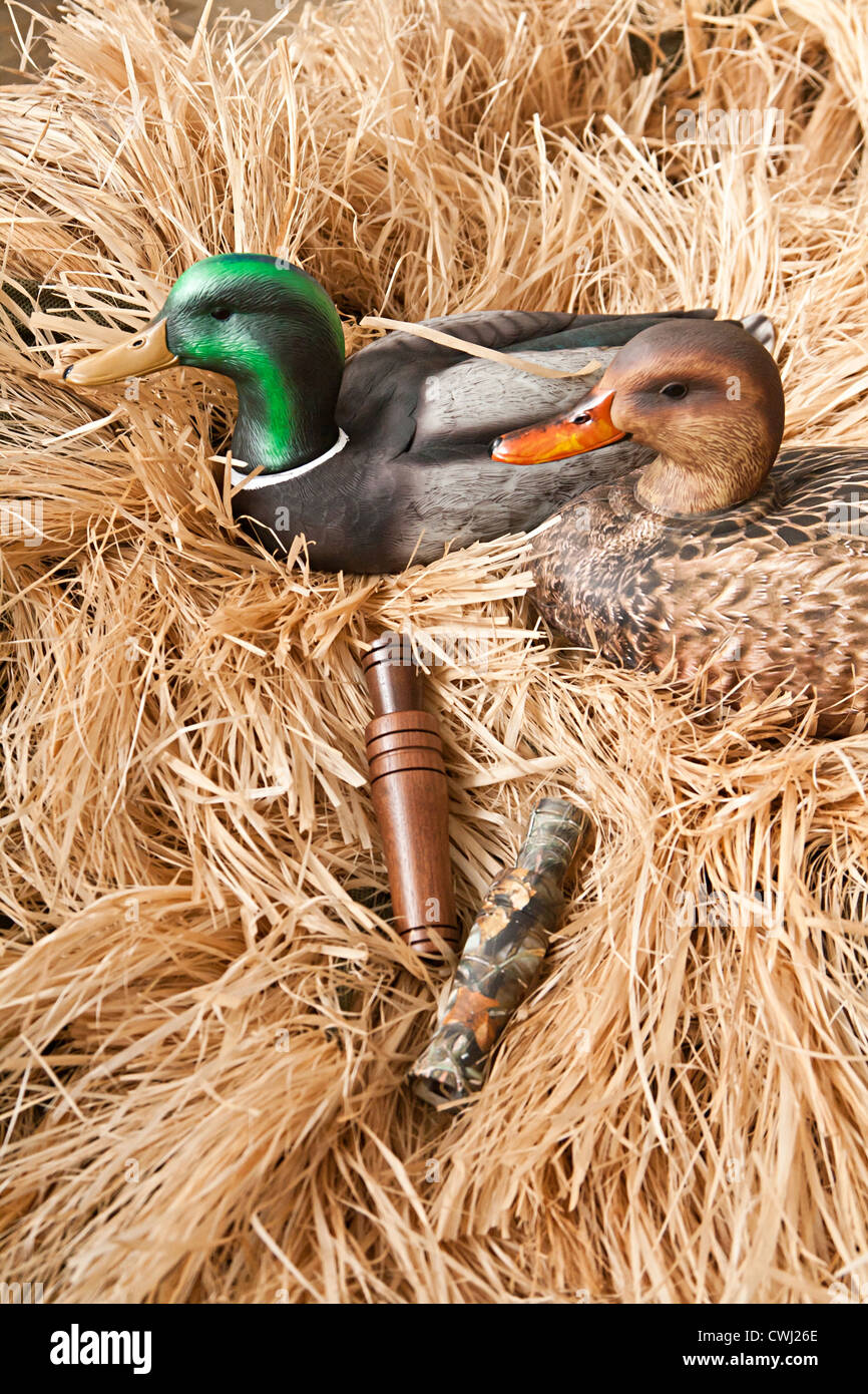duck decoy with stuffed and some calls Stock Photo