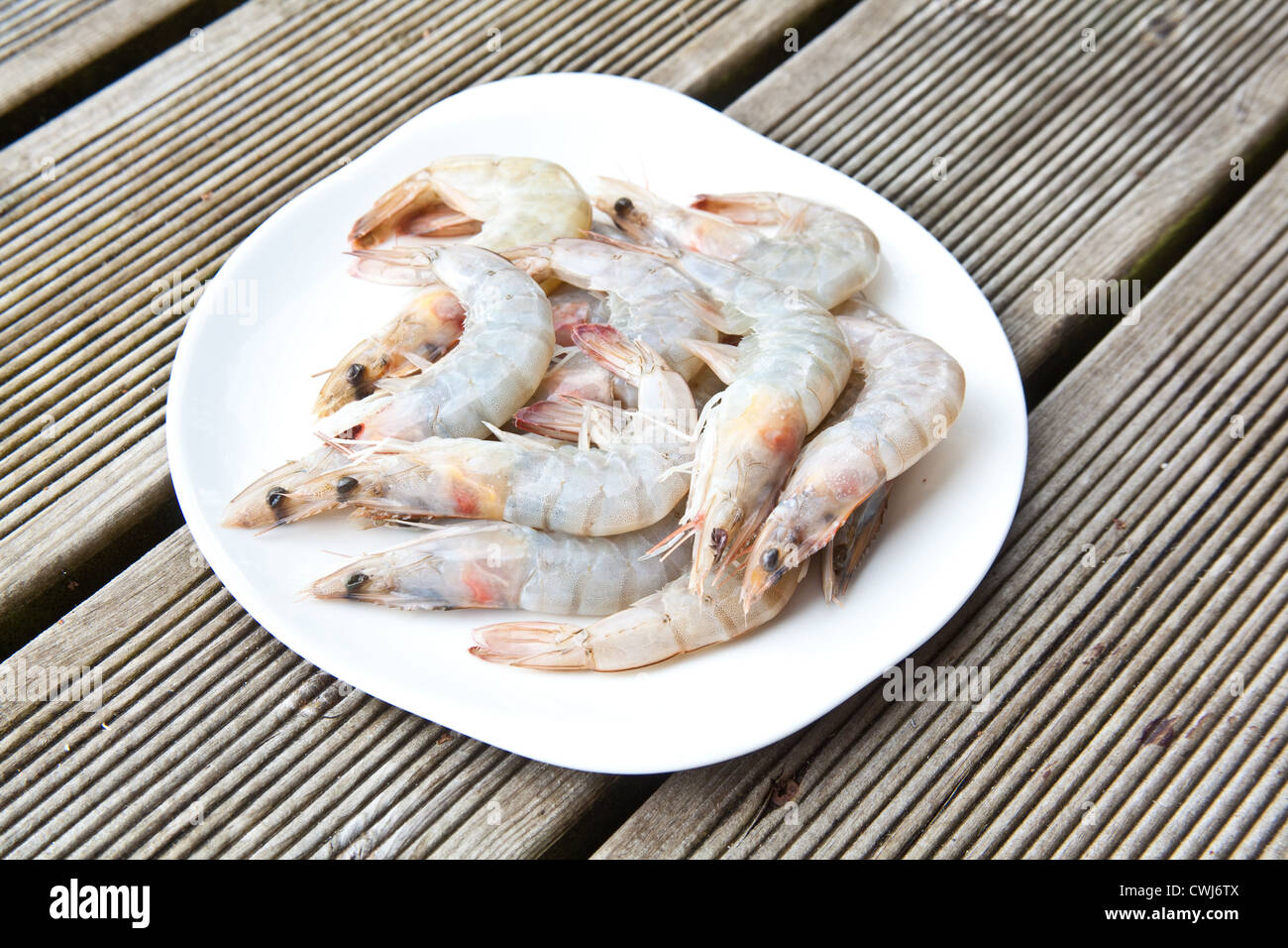Uncooked tiger prawns on a white plate Stock Photo Alamy