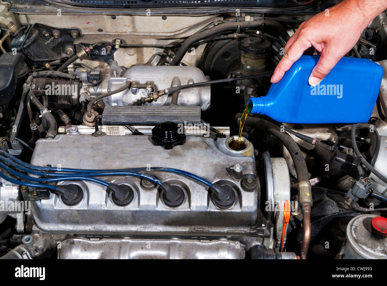 Lubricate your car engine with oil Stock Photo Alamy