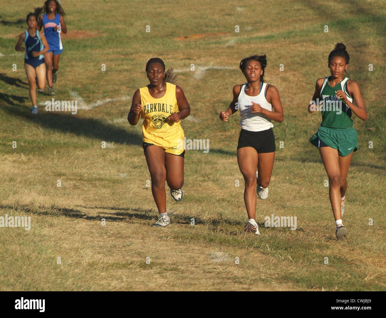 female cross country runners in meet Stock Photo Alamy