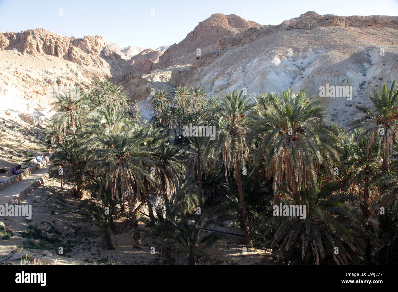 Mountain oasis Chebika at border of Sahara, Tunisia Stock Photo - Alamy