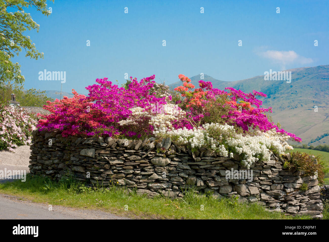 Dry stone wall garden hi-res stock photography and images - Alamy