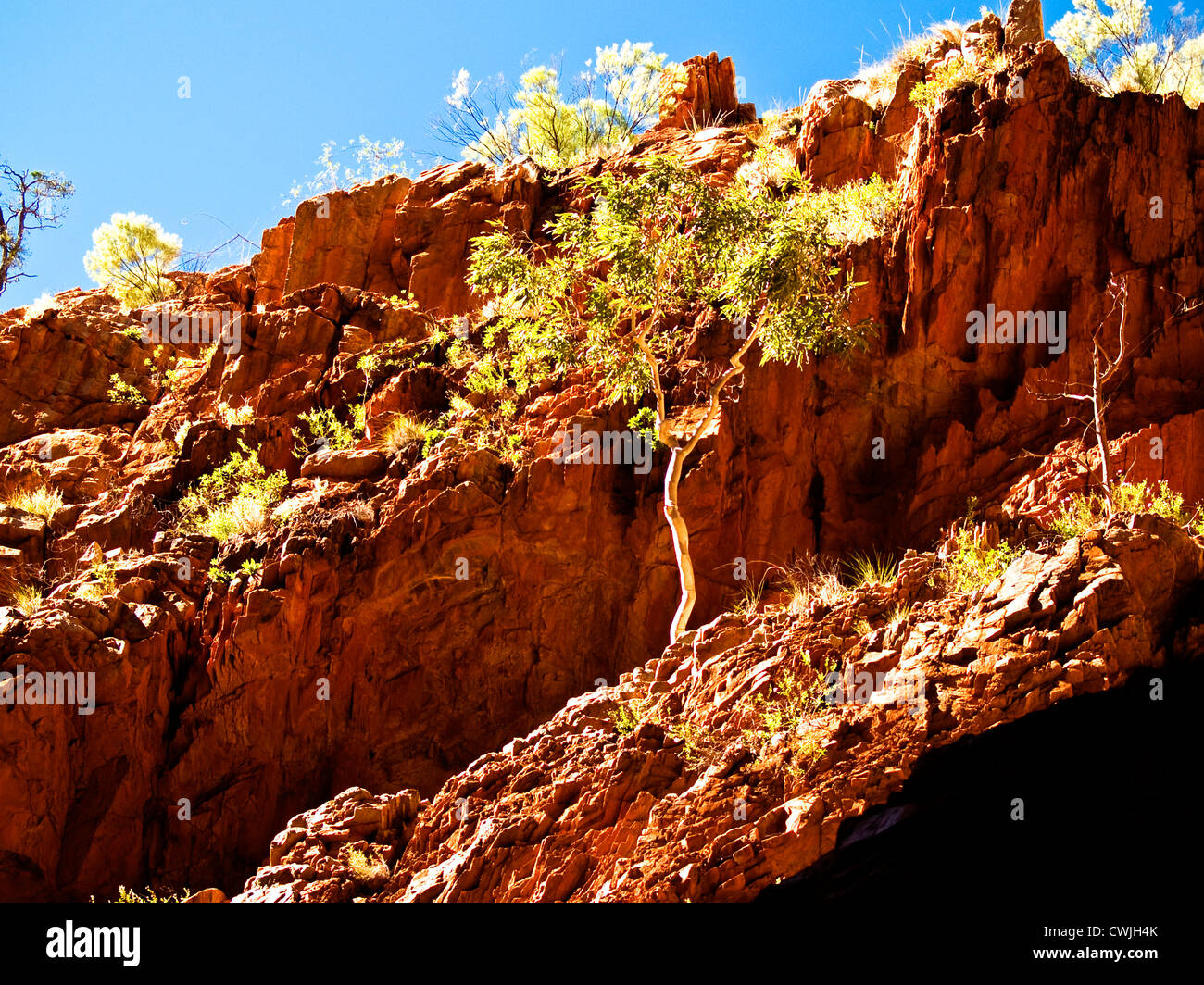 Central Australia, Northern Territory Stock Photo
