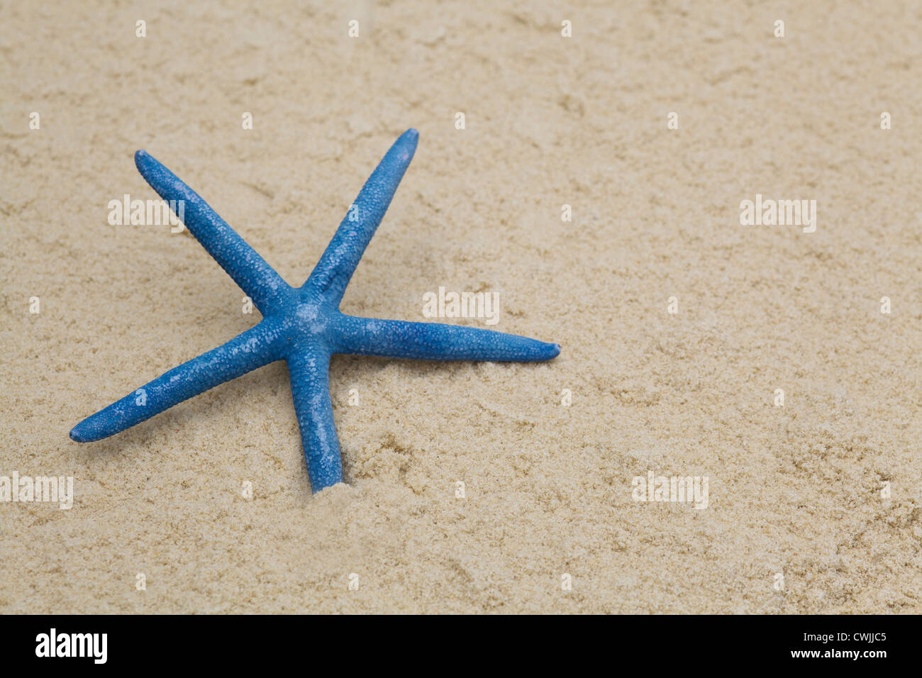 starfish 1 low on feet