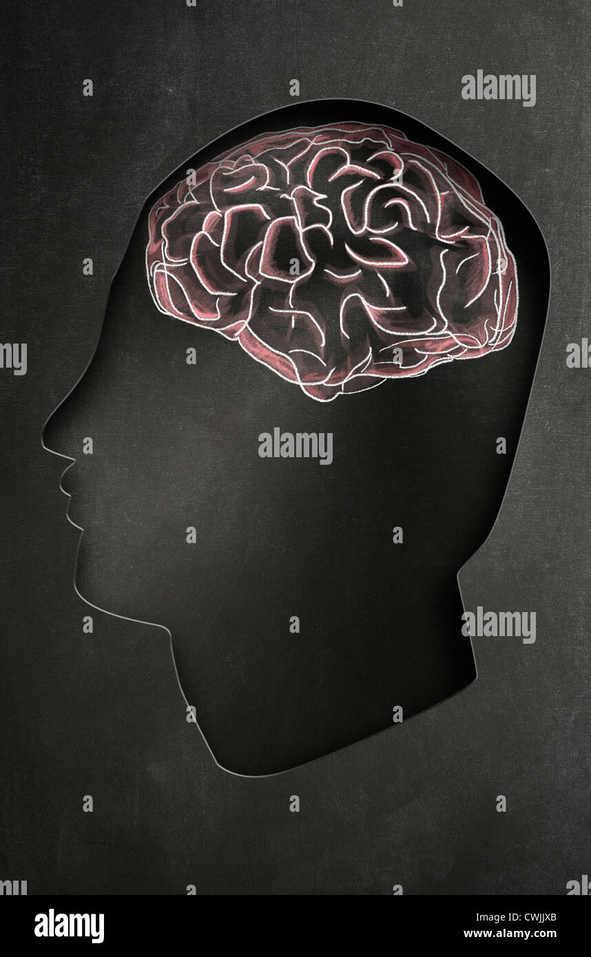 Profile of a man's head with a chalk illustration of the brain on a blackboard. Concept image Stock Photo