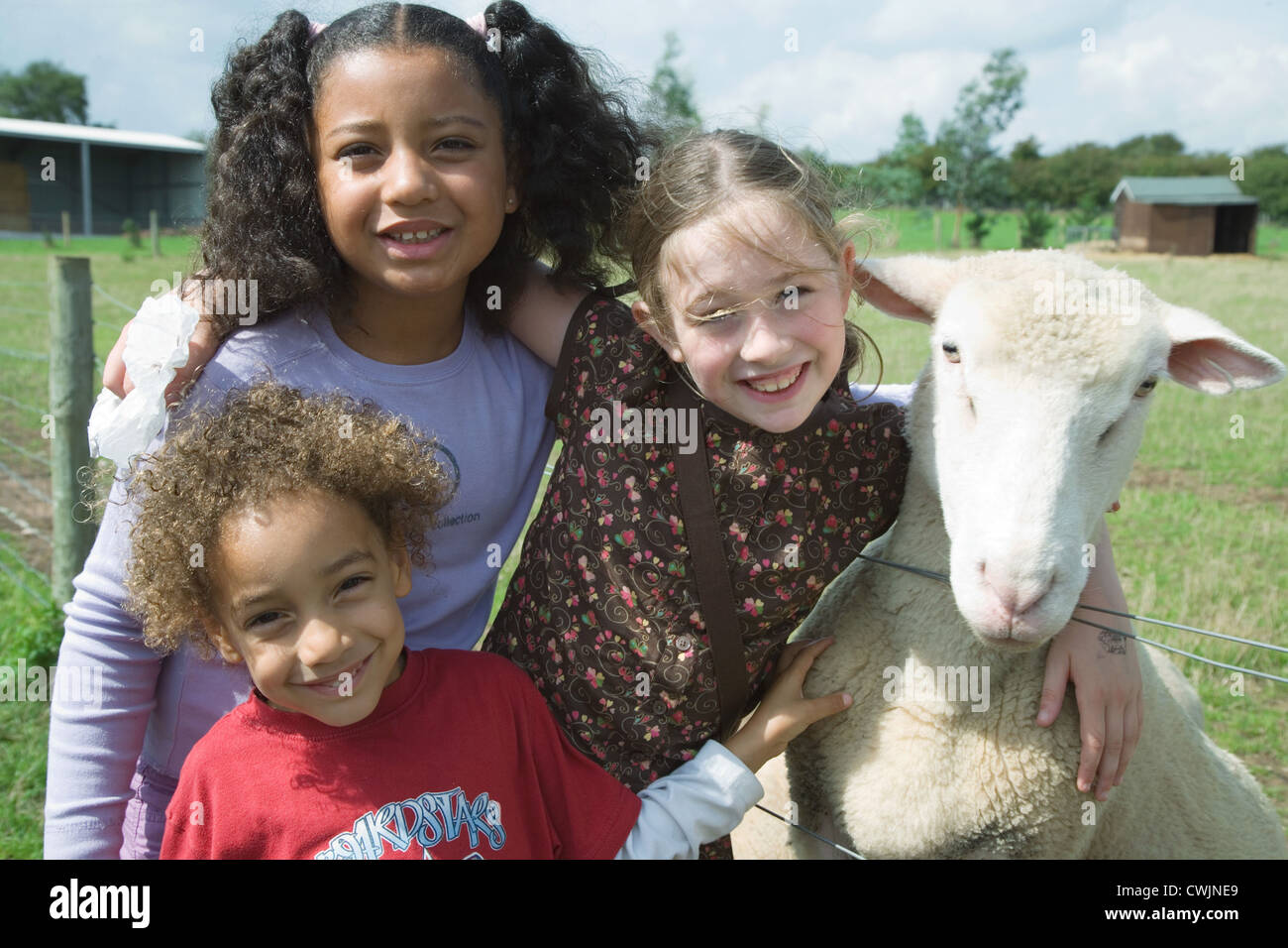 Children stroking a sheep on a visit to a city farm, Stock Photo