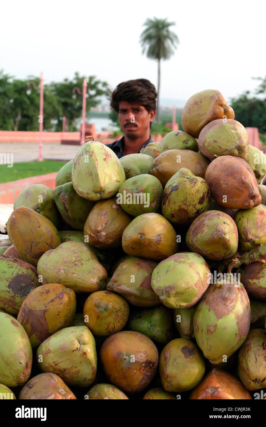 Coconut vendor in Rajasthan Stock Photo - Alamy