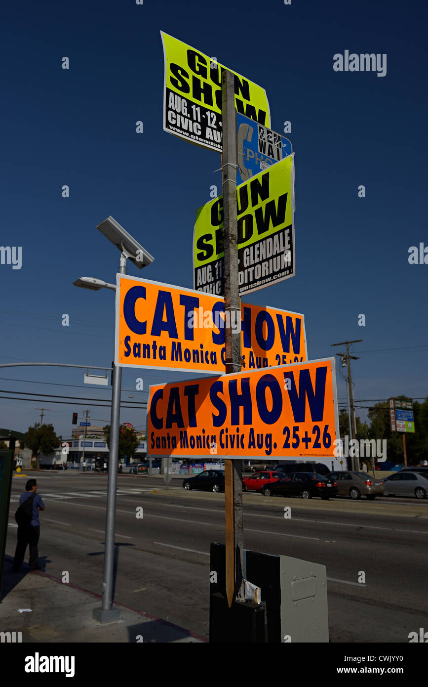 cat show gun show signs los angeles america Stock Photo
