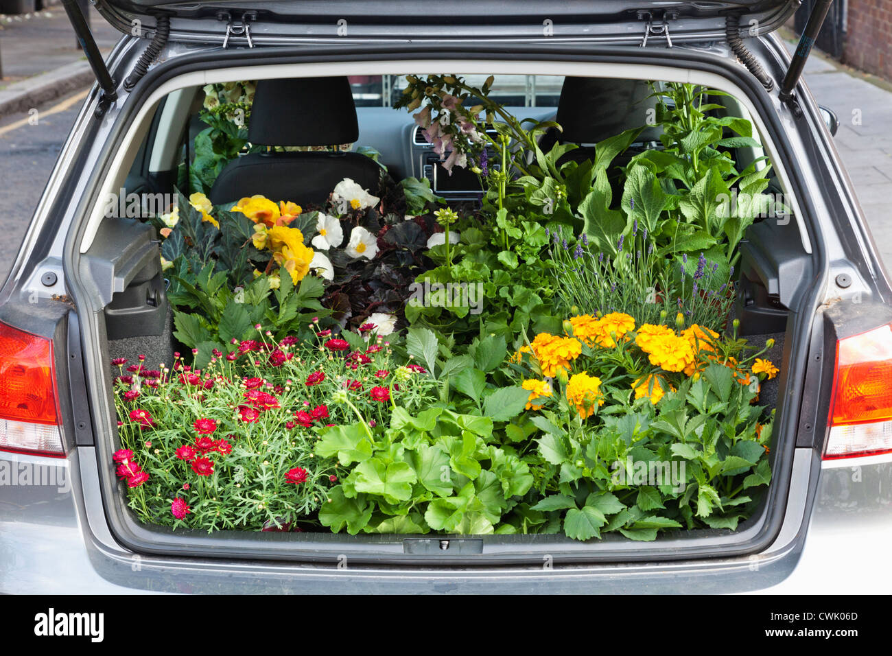 England, London, Columbia Road Flower Market, Car Boot Filled with Plants Stock Photo