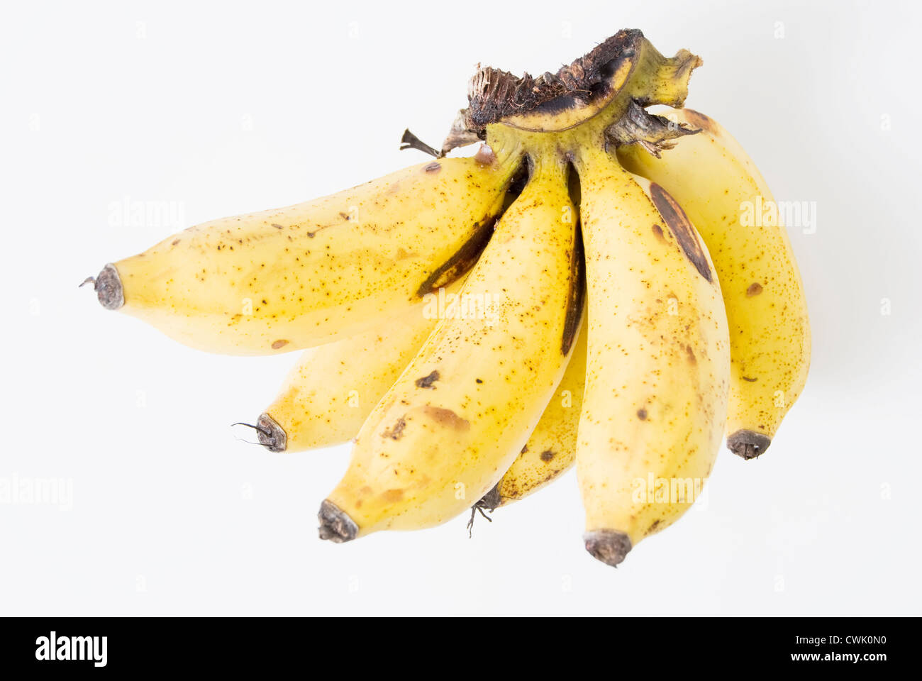 A cluster of bananas on white background Stock Photo Alamy