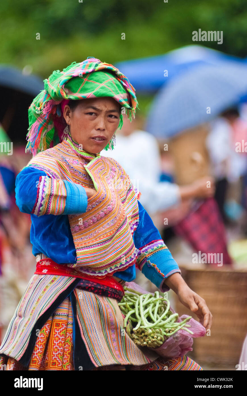 Hill tribal woman at the Bac Ha market in Lao Cai, Vietnam Stock Photo ...