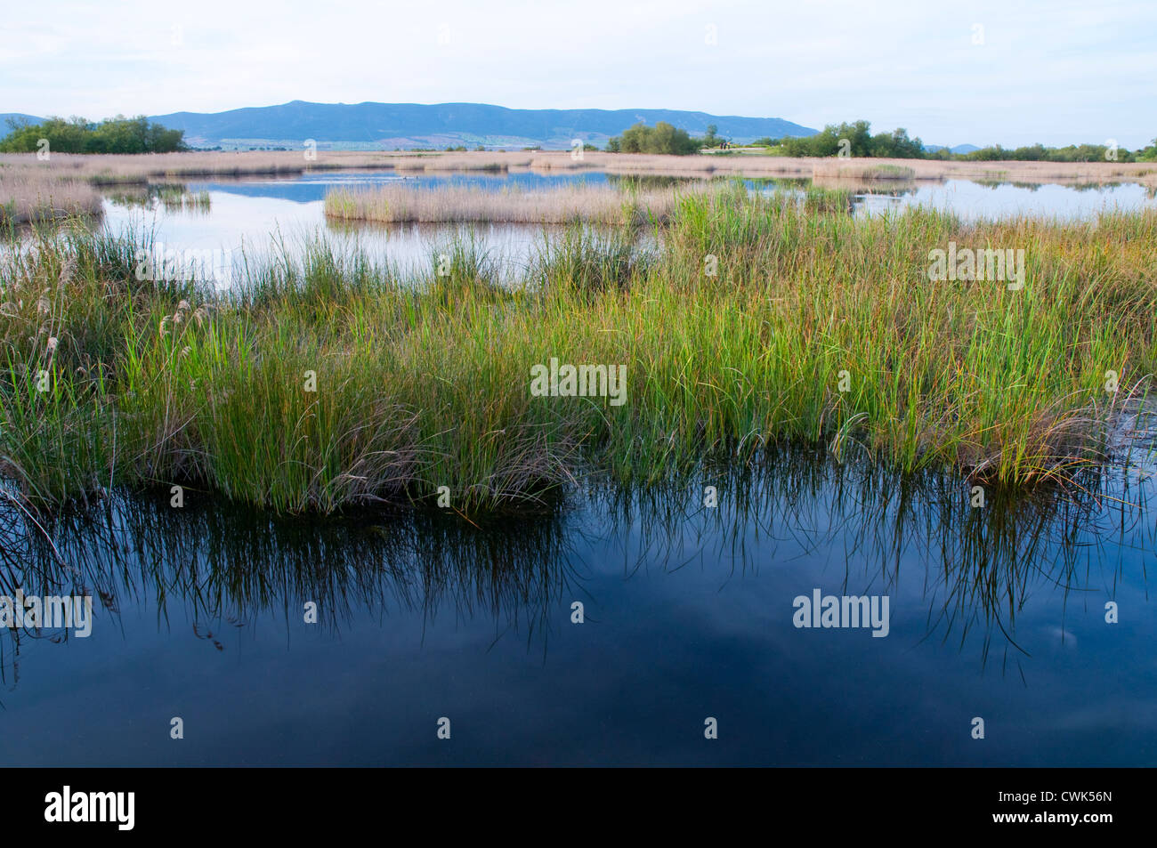 Landscape. Tablas de Daimiel National Park, Ciudad Real province, Castilla La Mancha, Spain. Stock Photo