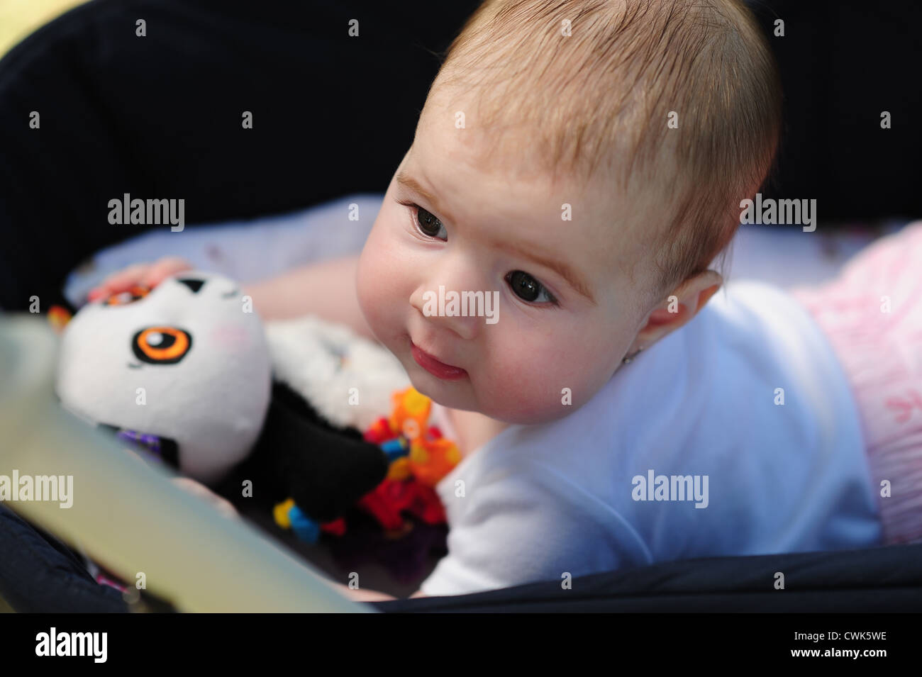 Baby in babycoach Stock Photo Alamy