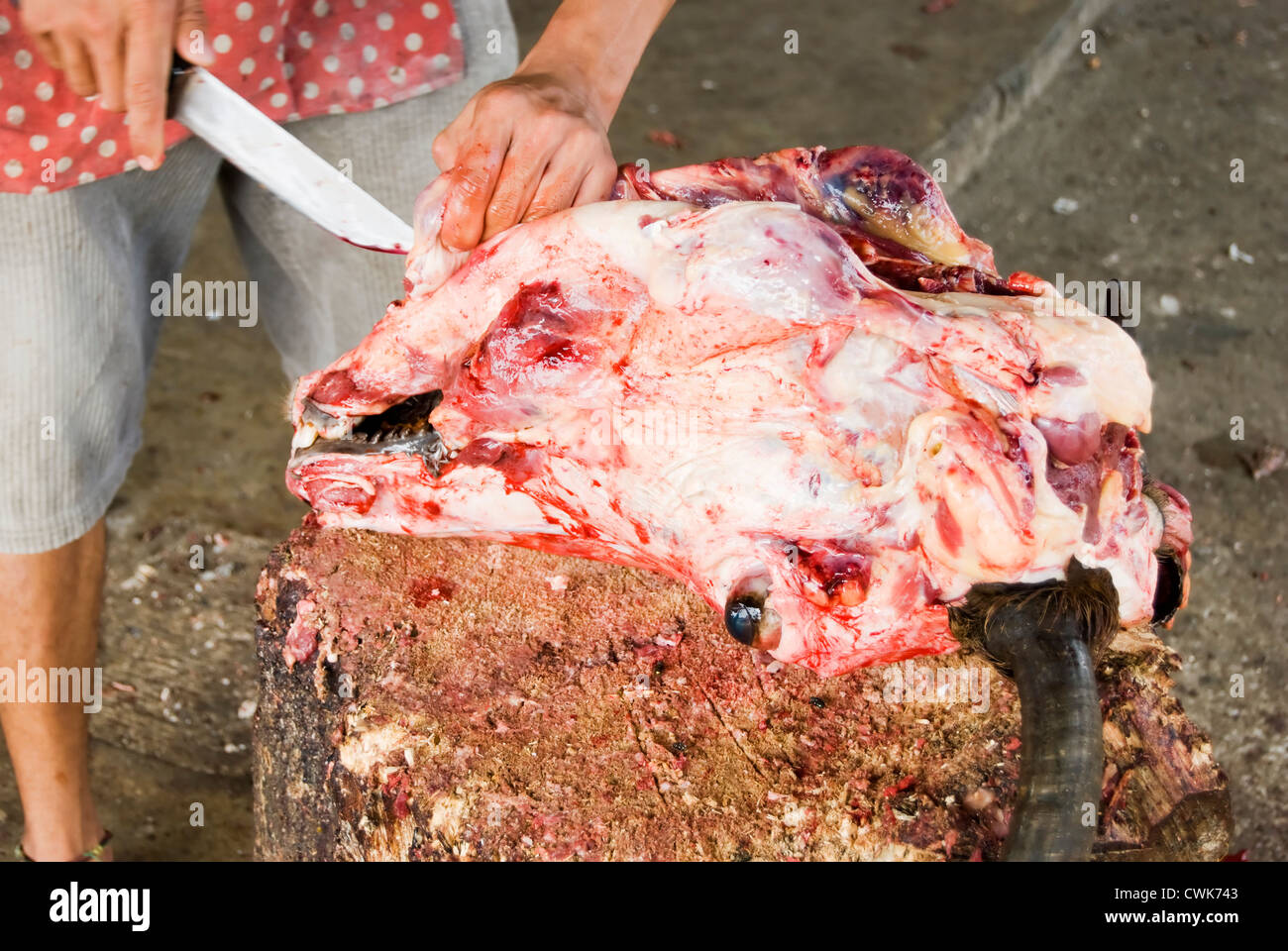 Man prepares and skins ox head in a Philippine wet market Stock Photo