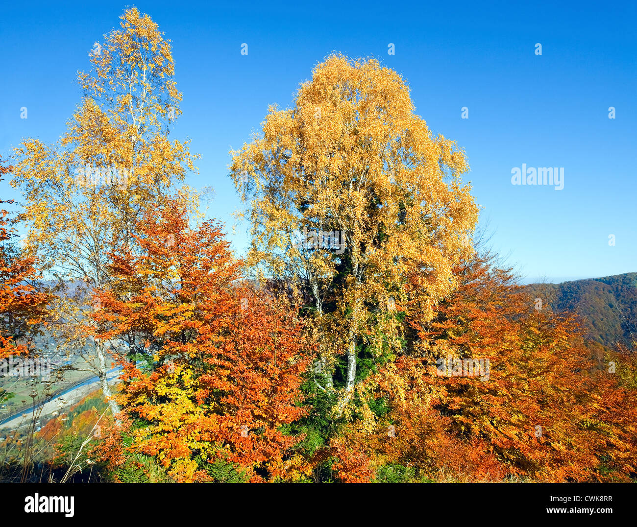 Autumn mountain Nimchich pass (Carpathian, Ukraine) and colorful trees on hill. Stock Photo